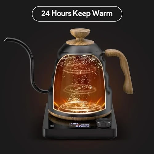 Electric Gooseneck Kettle — Electric Kettle, kwkwoice