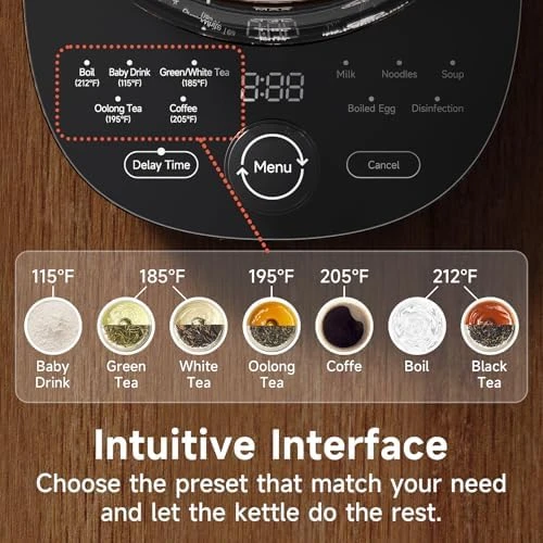 Electric Kettle with Tea Infuser and Temp Control — Electric Kettle, ICOOKPOT