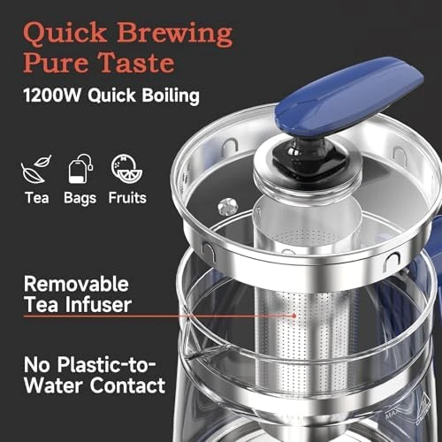 Electric Kettle with Tea Infuser and Temp Control — Electric Kettle, ICOOKPOT