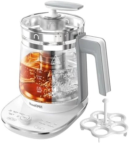 Electric Kettle with Tea Infuser and Temp Control — Electric Kettle, ICOOKPOT