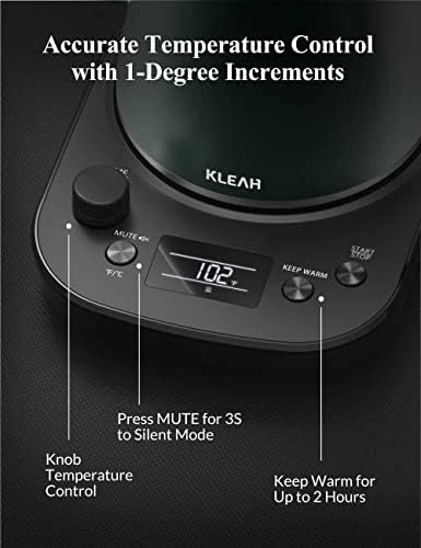 Gooseneck Electric Kettle with Temperature Control — Electric Kettle, KLEAH