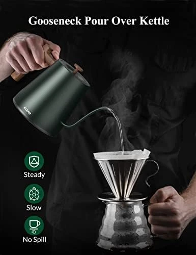 Gooseneck Electric Kettle with Temperature Control — Electric Kettle, KLEAH