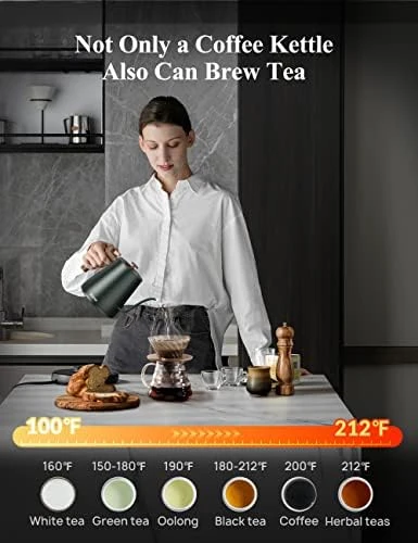 Gooseneck Electric Kettle with Temperature Control — Electric Kettle, KLEAH