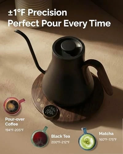 Gooseneck Electric Kettle — Electric Kettle, INTASTING