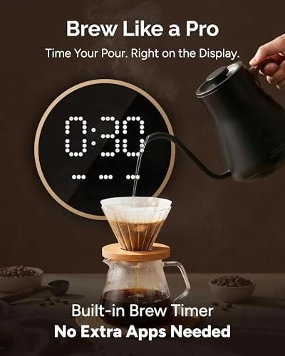 Gooseneck Electric Kettle — Electric Kettle, INTASTING