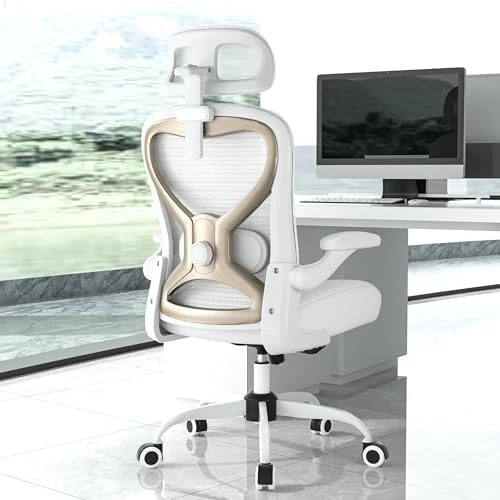 Ergonomic Office Chair with Lumbar Support & 3D Headrest — Smart Chairs, CASASIO