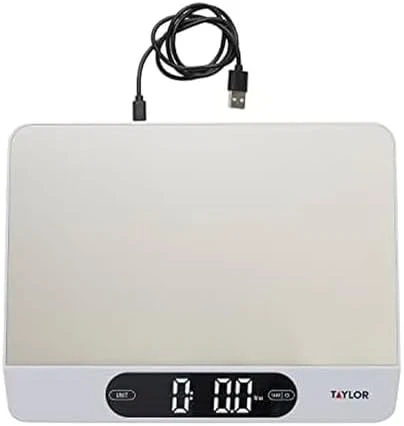 High Capacity Kitchen Food Scale with Stainless Steel Surface — Kitchen Gadgets, Taylor