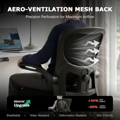Ergonomic Desk Chair with Adjustable Lumbar Support — Smart Chairs, AreShark