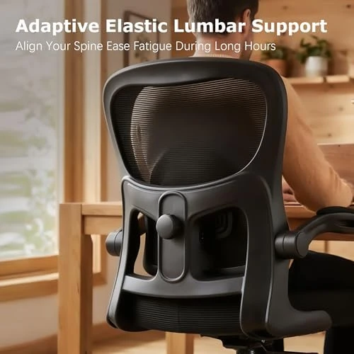 Ergonomic Desk Chair with Adjustable Lumbar Support — Smart Chairs, AreShark