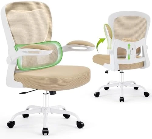 Ergonomic Desk Chair with Adjustable Lumbar Support — Smart Chairs, AreShark