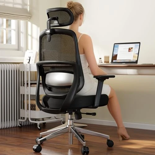 Ergonomic High Back Desk Chair — Smart Chairs, QuelSoft