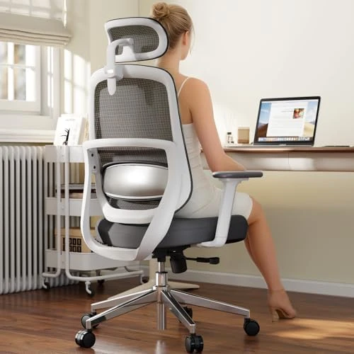 Ergonomic High Back Desk Chair — Smart Chairs, QuelSoft