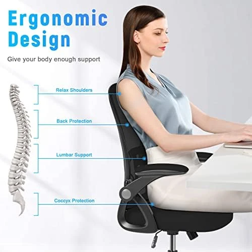 Ergonomic Office Chair, Mid Back Desk Chairs with Adjustable Height, Swivel Chair with Flip-Up Arms and Lumbar Support,... — Smart Chairs, naspaluro