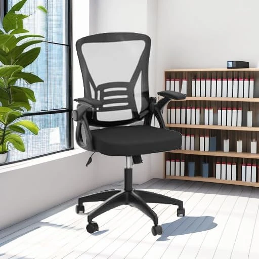 Ergonomic Office Chair, Mid Back Desk Chairs with Adjustable Height, Swivel Chair with Flip-Up Arms and Lumbar Support,... — Smart Chairs, naspaluro