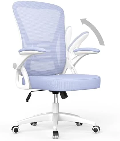 Ergonomic Office Chair, Mid Back Desk Chairs with Adjustable Height, Swivel Chair with Flip-Up Arms and Lumbar Support,... — Smart Chairs, naspaluro