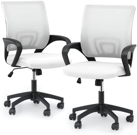 Ergonomic Office Chair Pack of 2 — Smart Chairs, Magshion