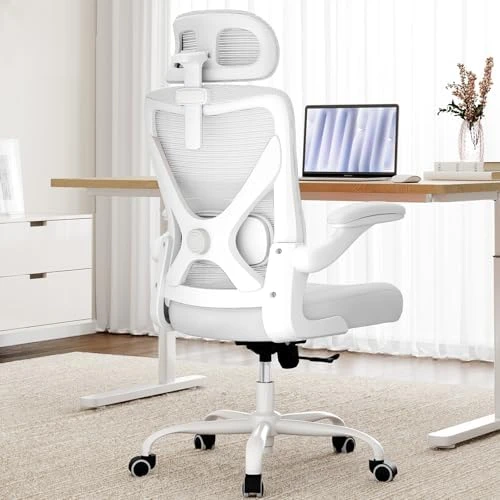 Ergonomic Office Chair with Back Support — Smart Chairs, Ergalithic