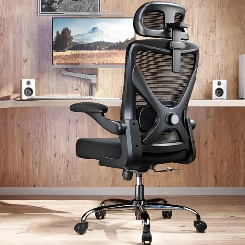 Ergonomic Office Chair with Back Support — Smart Chairs, Ergalithic