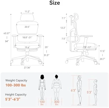 Ergonomic Office Chair with Footrest — Smart Chairs, NEWTRAL