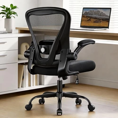 Ergonomic Office Chair with Headrest, Lumbar Support & Flip-up Armrests — Smart Chairs, OwgeinSet