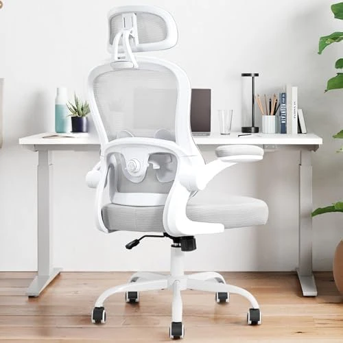 Ergonomic Office Chair — Smart Chairs, TUKAKA