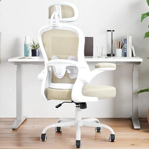 Ergonomic Office Chair — Smart Chairs, TUKAKA
