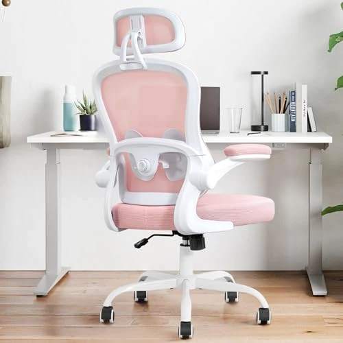 Ergonomic Office Chair — Smart Chairs, TUKAKA