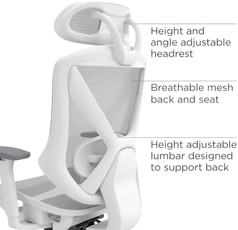 Ergonomic Task Chair with Mesh and Lumbar Support — Smart Chairs, STAPLES