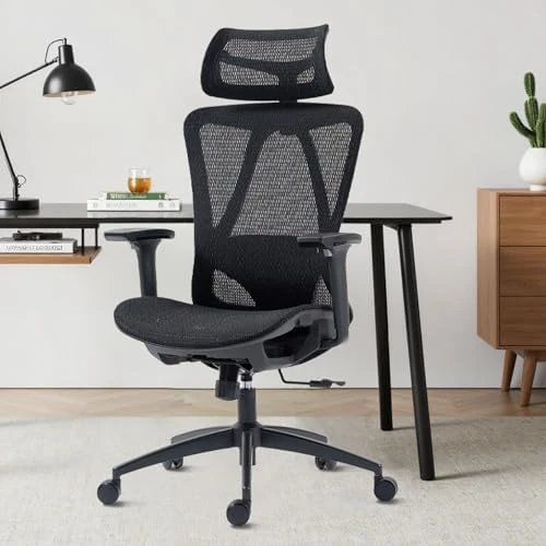 Mesh Ergonomic Office Chair with 6D Armrests — Smart Chairs, hujusko