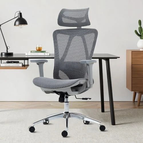 Mesh Ergonomic Office Chair with 6D Armrests — Smart Chairs, hujusko