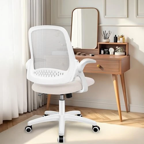 Office Desk Gaming Ergonomic Computer Chair with Lumbar Back Support — Smart Chairs, NEO CHAIR