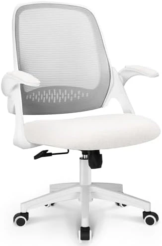 Office Desk Gaming Ergonomic Computer Chair with Lumbar Back Support — Smart Chairs, NEO CHAIR