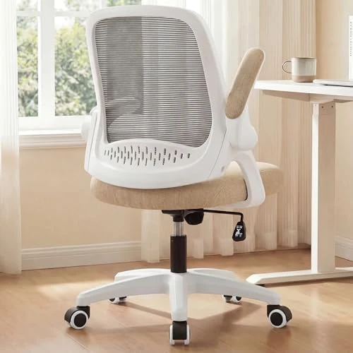 Office Desk Gaming Ergonomic Computer Chair with Lumbar Back Support — Smart Chairs, NEO CHAIR