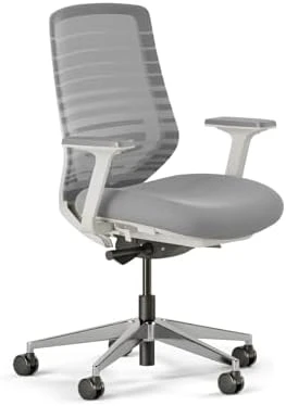 Ergonomic Chair — Smart Chairs, Branch