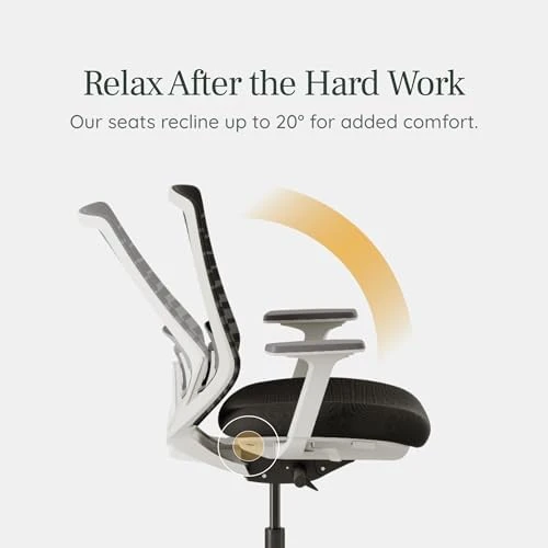 Ergonomic Chair — Smart Chairs, Branch