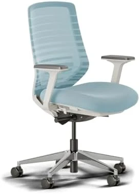 Ergonomic Chair — Smart Chairs, Branch