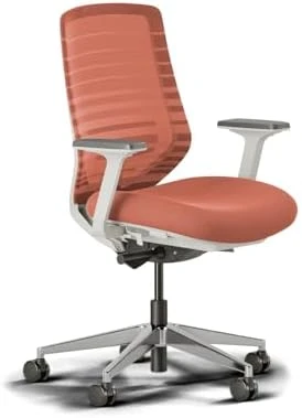 Ergonomic Chair — Smart Chairs, Branch