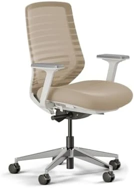 Ergonomic Chair — Smart Chairs, Branch