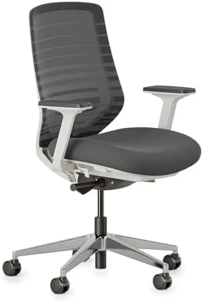 Ergonomic Chair — Smart Chairs, Branch