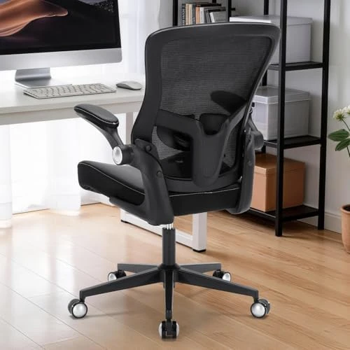 Ergonomic Heavy Duty Office Chair with Adjustable Lumbar Support — Smart Chairs, Heromate