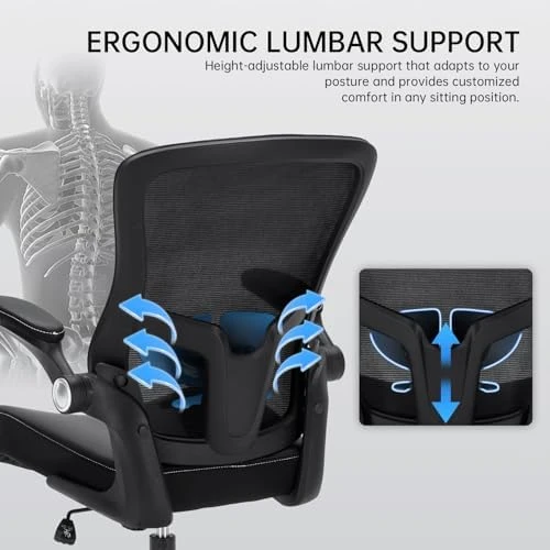 Ergonomic Heavy Duty Office Chair with Adjustable Lumbar Support — Smart Chairs, Heromate