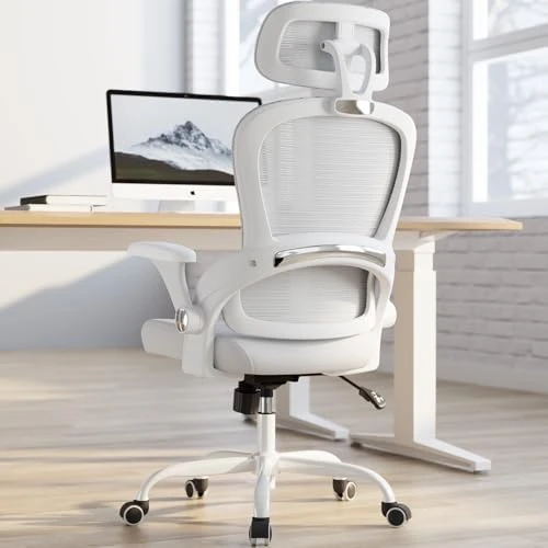 Ergonomic Office Chair with Back Support — Smart Chairs, TRALT
