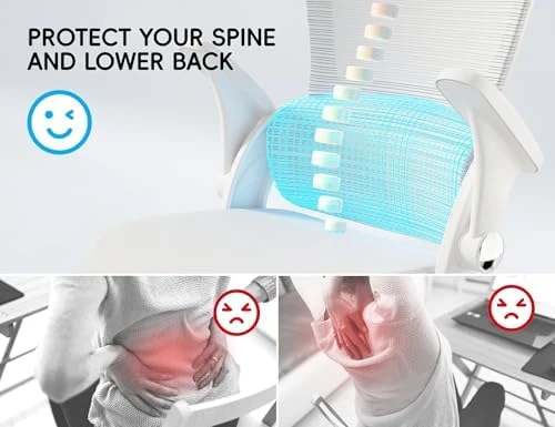Ergonomic Office Chair with Back Support — Smart Chairs, TRALT