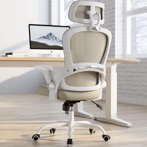 Ergonomic Office Chair with Back Support — Smart Chairs, TRALT