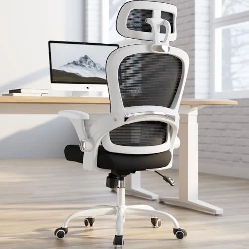 Ergonomic Office Chair with Back Support — Smart Chairs, TRALT