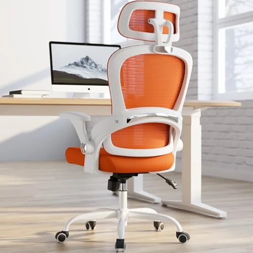 Ergonomic Office Chair with Back Support — Smart Chairs, TRALT