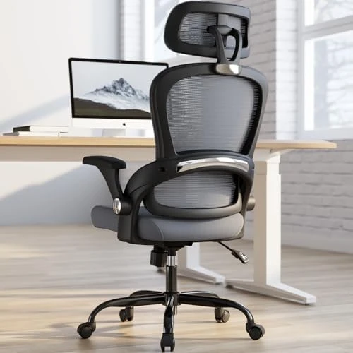 Ergonomic Office Chair with Back Support — Smart Chairs, TRALT