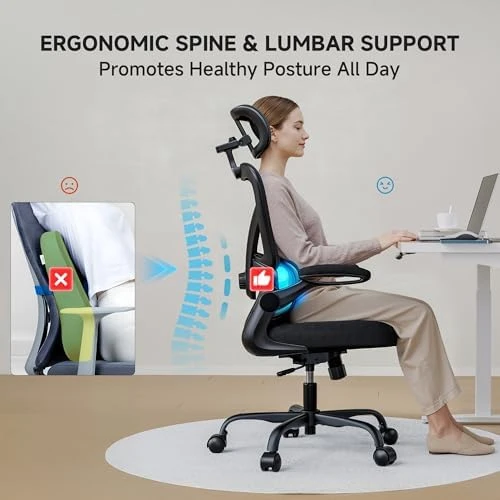 Ergonomic Office Chair with Lumbar Support & Headrest — Smart Chairs, PKPT