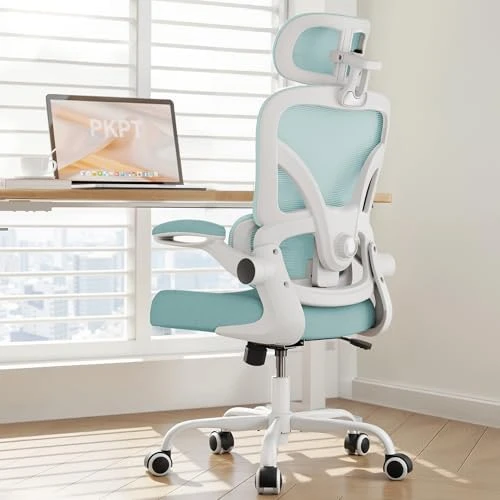 Ergonomic Office Chair with Lumbar Support & Headrest — Smart Chairs, PKPT