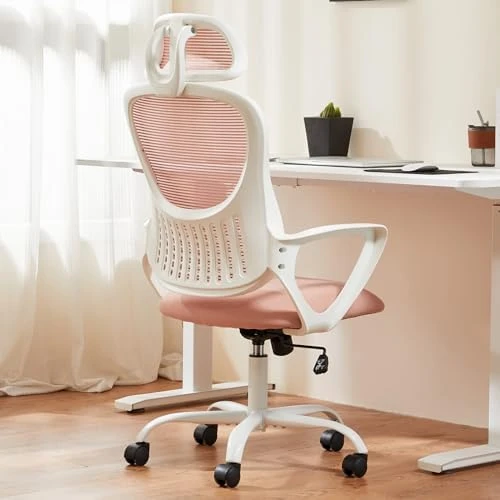 Home Office Desk Chair — Smart Chairs, Sweetcrispy